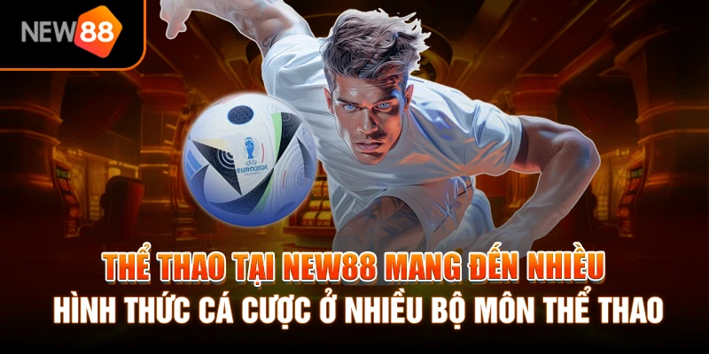 Trang chủ 20 Thể thao tại NEW88 mang đến nhiều hình thức cá cược ở nhiều bộ môn thể thao
