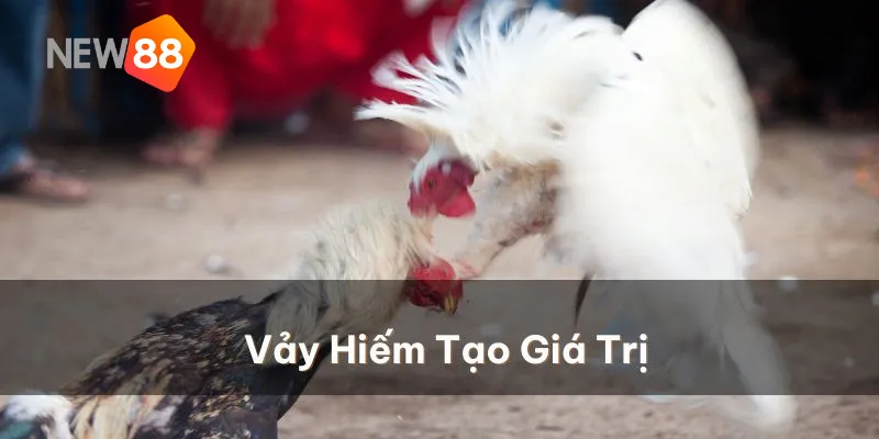Vảy Huyền Trâm - Kinh Nghiệm Huấn Luyện Gà Chọi Của Các Cao Thủ 3 Gà vảy huyền trâm tam cài là một loại cực kỳ hiếm và mạnh mẽ.