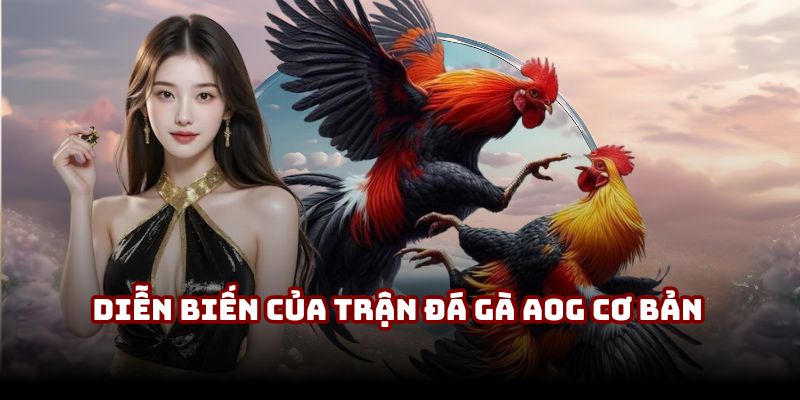 Diễn biến của trận đá gà AOG cơ bản Diễn biến của trận đá gà AOG cơ bản