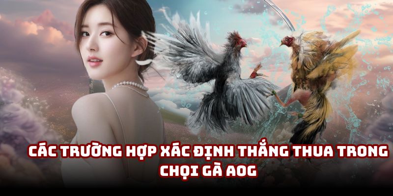 Các trường hợp xác định thắng thua trong chọi gà AOG Các trường hợp xác định thắng thua trong chọi gà AOG